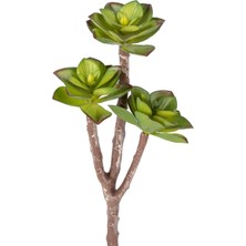 Yapay Kaktüs Sukulent Kırmızı-Yeşil 35 Cm.