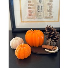 Özel Tasarım 3'lü Iki Farklı Boy Balkabağı Seti, Kuru Aksesuarlar ve Sunum Tabağıyla Birlikte