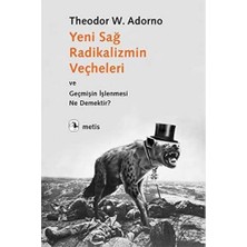 Yeni Sağ Radikalizmin Veçheleri ve Geçmişin Işlenmesi Ne Demektir?