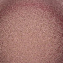 Concept Petrie Handmade Pasta Tabağı 22CM