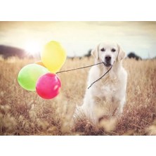 500PC Puzzle Balon Partisi