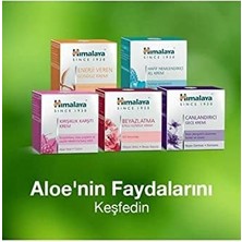 Himalaya Since 1930 Aydınlatıcı Gündüz Kremi, Yüz Kremi, Cınnabloc, Uv Koruma, Hipoalejenik, Kuru ve Karma Ciltler, 50ML