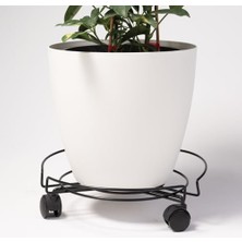 3 Tekerlekli Tüpçek Damacana Tüp Saksı Altlığı Siyah