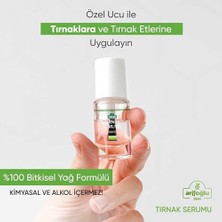 Arifoğlu Tırnak Serumu 10 ml %100 Bitkisel Yağ Formülü Tırnakların Güçlenmesine Yardımcı Etki