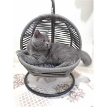 Feyza Design Yumuşak ve Konforlu Kedi Salıncağı ile Rahat Yatak, Sabitleme Aparatıyla Güvenle Kullanın