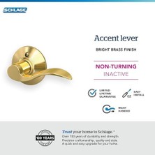 F170ACC605RH F170 Acc 605 Rh Vurgulu Emzik Kolu, Sağ, Açık Renkli Pirinçten, Sağ Elle