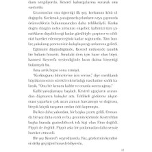 Ormanın Bittiği Yer