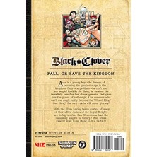 Black Clover, Vol. 17: Volume 17