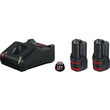 Professional 12 Volt Akü Şarj Cihazı Seti (2 x 2,0 Ah Li-Ion Akü + Gal 12V-40 Şarj Cihazı, Karton Kutuda)
