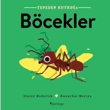 Tepeden Kuyruğa - Böcekler