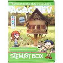Stemist Box Ağaç Ev