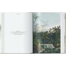 Martius. The Book Of Palms. 45TH Ed.