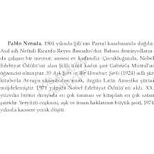 Yüz Aşk Sonesi