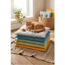 Feyza Design 3'lü Kedi ve Köpek Minderi Box Yatağı, Yüksek Kalite, Yapışmayan Boncuk Elyaf