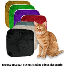 Feyza Design Yumuşak ve Pofuduk Kedi Halısı, 40X40 Cm, Konforlu Kulübe Için