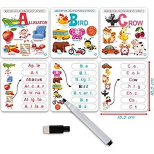 Circle Toys English Alphabet