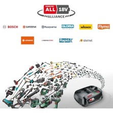 18V-10 Zımpara, 1X2.0AH, Tek Akü