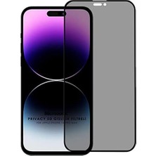 14 Pro Max Privacy 5d Gizlilik Filtreli Cam Ekran Koruyucu Siyah