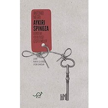 Aykırı Spinoza: Gündem (Deki / Dışı) Çeşitlemeler