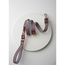 Balkonda Köpek Gezdirme Kayışı Tasması 2,5 cm Genişlik Desenli Kolon Kordon Çok Renkli