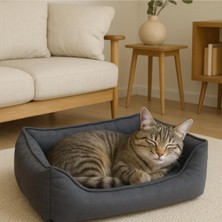 Feyza Design Kare Silinebilir Kedi Köpek Yatağı 60X50X17 Cm, Renkli ve Yıkama Garantili