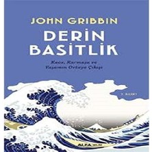 Derin Basitlik: Kaos, Karmaşa ve Yaşamın Ortaya Çıkışı