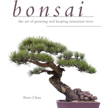Bonsai: The Art Of Growing And Keeping Miniature Trees