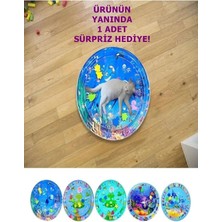 Feyza Design Kedi ve Köpekler Için Eğlenceli Su Havuzu ve Su Oyuncağı Seti