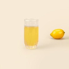 Alegre Glass Cansu Uzun Bardak - Şeffaf - 300 ml
