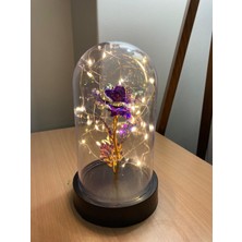 PremiumPort Mor Güllü LED Cam Fanus, Şık ve Modern Dekoratif Aksesuar