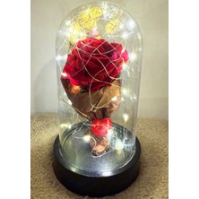 PremiumPort Ledli Gül Buketi, Sevgiliye Özel Çiçek Hediye, Romantik Sürpriz