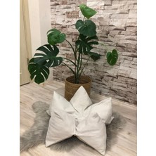 Feyza Design Yumuşak ve Rahat Evcil Hayvan Yatağı, Konforlu Uyku Alanı