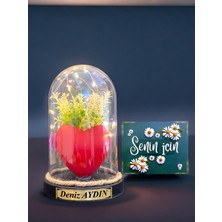 PremiumPort LED Işıklı Fanus Içinde Kırmızı Çiçekli Kalp Anneler Günü Hediye