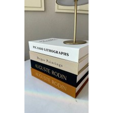 Kumaş Kaplı 4'lü Dekoratif Kitap Kutu Set  (Picasso-Degas-Auguste)