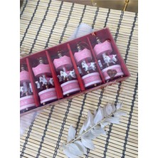 PremiumPort 6'lı Mini Ahşap Atlı Karınca Seti, Renkli ve Eğlenceli Oyuncaklar