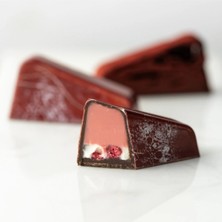 Greyas Moulds Polikarbon Dikdörtgen Pralin Çikolata Kalıbı 12.5 gr | CM-3893