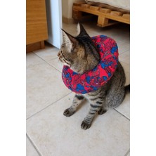 Feyza Design Kedi ve Köpek Koruyucu Yakalık, Tırnak Kesim Boyunluğu