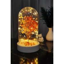 PremiumPort Sevgililer Günü Temalı Ledli Beyaz Çiçekli Fanus, Şık ve Havalı Tasarım