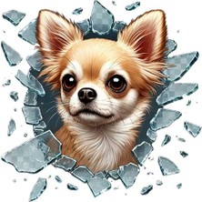 Hediye Bahçesi Fulcar Köpek Tasarımlı Araç Stickerı