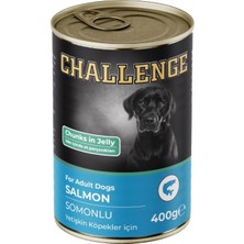 Challenge Somonlu Yetişkin Köpek Konservesi 400 gr
