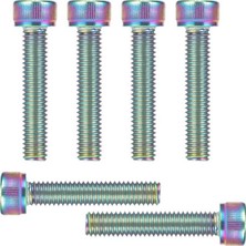 Ugr Oilslick Furç Boğaz Kapak Vidası 6 Adet M6X30 Rainbow 12333