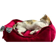 Feyza Design Renkli ve Rahat 45X55 cm Kedi ve Küçük Irk Köpek Yatağı