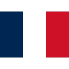 Saray Fransa Bayrağı 30X45 Ölçü