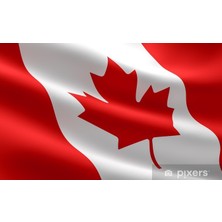 Saray Kanada Bayrağı 30X45 Ölçüsü