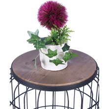 Yapay Çiçek Sitesi Beton Saksıda Yapay Çiçekli Tanzimler Model 1