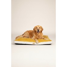 Feyza Design Yumuşak ve Konforlu Peluş Kedi Köpek Yatağı, Kaymaz Tabanlı Rahat Uyku Alanı