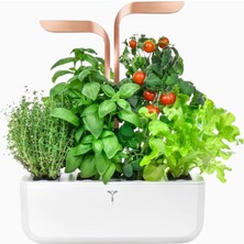 Veritable Véritable Smart White Copper Akıllı Iç Mekan Bitki Yetiştirme Sistemi