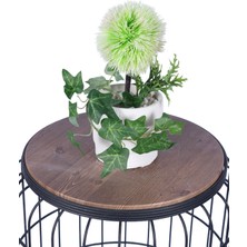 Yapay Çiçek Sitesi Beton Saksıda Yapay Çiçekli Tanzimler Model 3