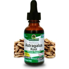 Nature's Answer Astragalus Root Promotes Overall Health & Wellbeing Super Concentrated 2000MG Alcohol-Free 30 ml