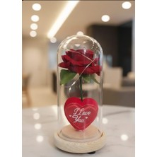 Skygo Işıklı Kalpli Güllü Özel Cam Fanus Seni Seviyorum Yazılı Ledli 17 cm